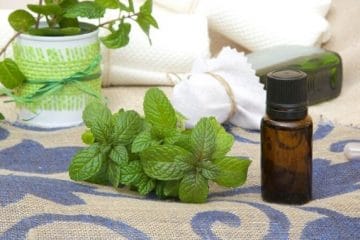 Relieve Nausea And Indigestion Using Essential Oils