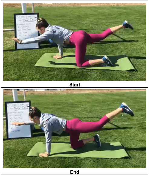 Alternative exercise- Core Exercises For Back Pain