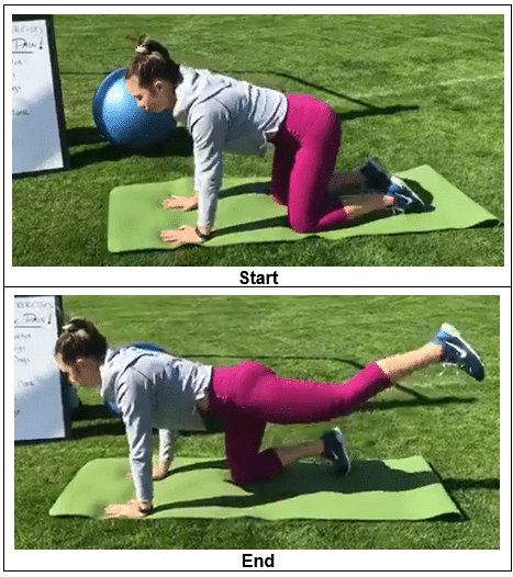 Bird Dog- Core Exercises For Back Pain