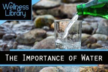 The Importance of Water