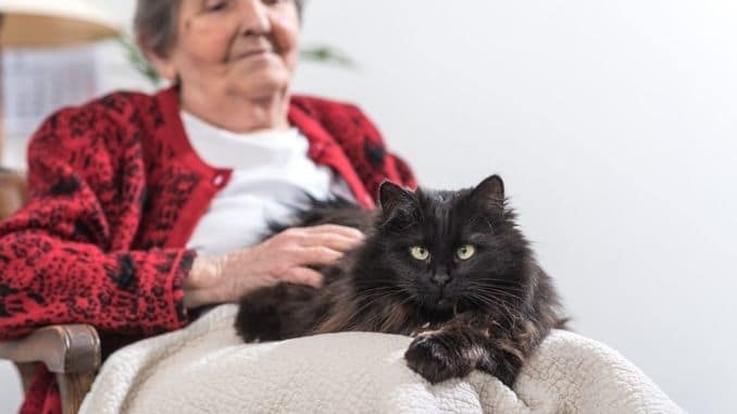 Old woman with her cat