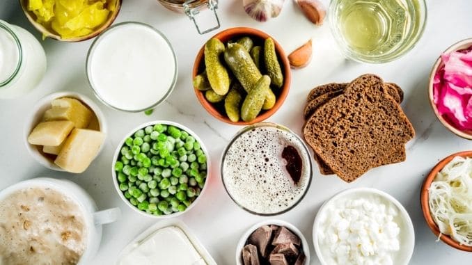 Probiotic Fermented Food Sources