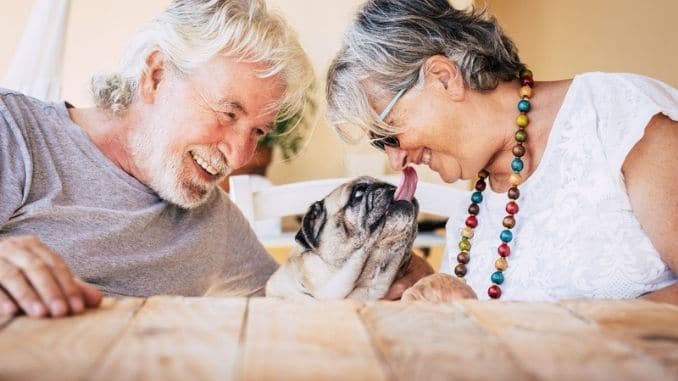 couple with funny pet pug