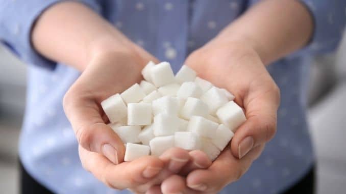 holding sugar cubes