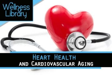 Heart Health and Cardiovascular Aging