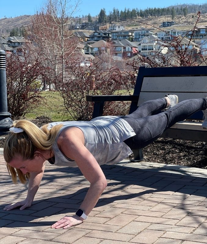 Reverse Inverted Push-Up 2