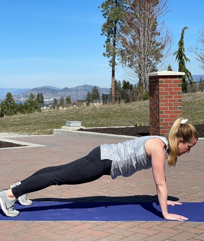 Standard Push Up 1