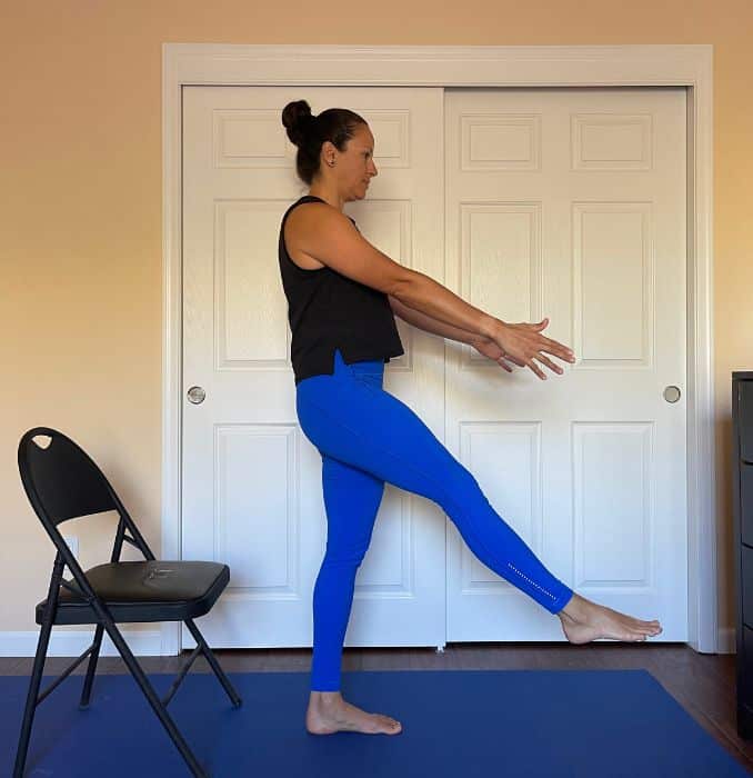 Single Leg Sit to Stands 2