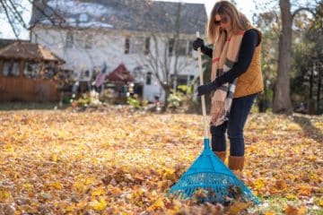 Warm-Up Exercises Before Raking Leaves