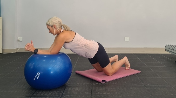 Stability Ball Stir the Pot