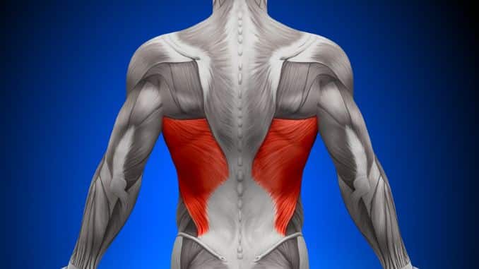 Latissimus dorsi