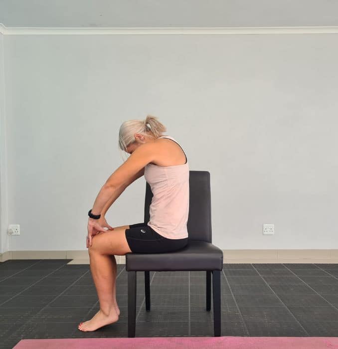 Cat-Cow- Chair Yoga for Back Pain