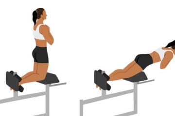 Harnessing The Power Of Glute-Ham Raise Exercise For Total Body Fitness